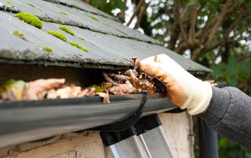 gutter cleaning Springhill