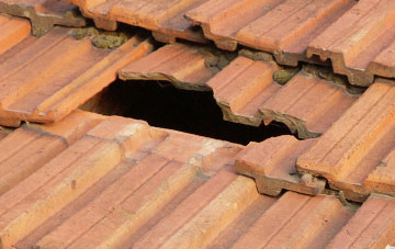 roof repair Springhill