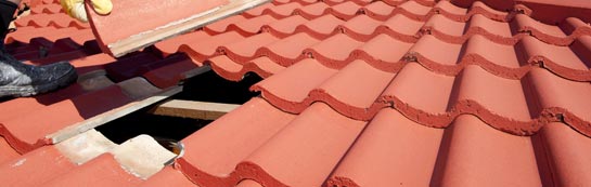 compare Springhill roof repair quotes